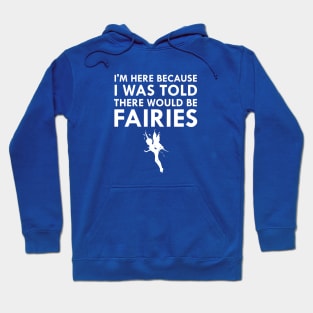 I Was Told There Would Be Fairies Magical Fairy Tale Hoodie